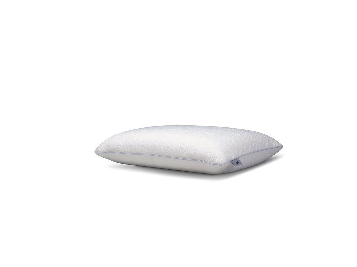 Sealy sales memory pillow