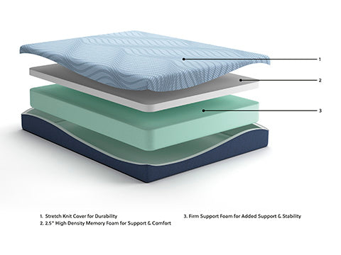 Student Special 10" Memory Foam
