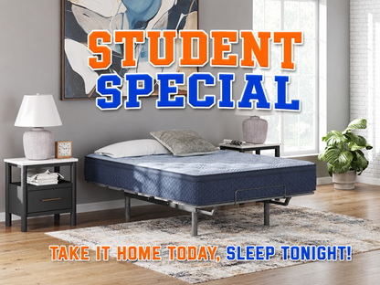 Student Special 12" Wrapped Coil Hybrid